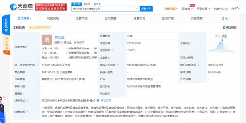 網絡與信息安全軟件開發 筑牢數字世界的隱形長城